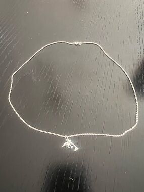 Sterling Silver Dolphin with baby dolphin pendant with 18 year inch Necklace -